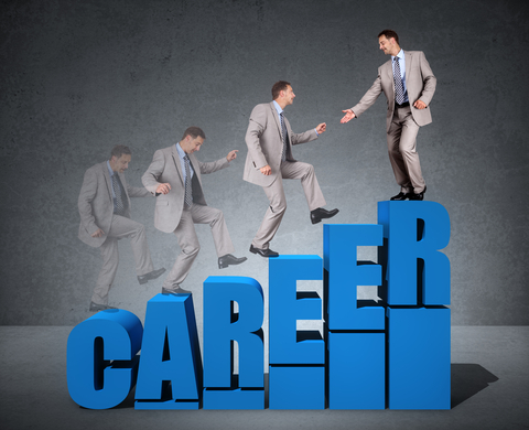 Career support